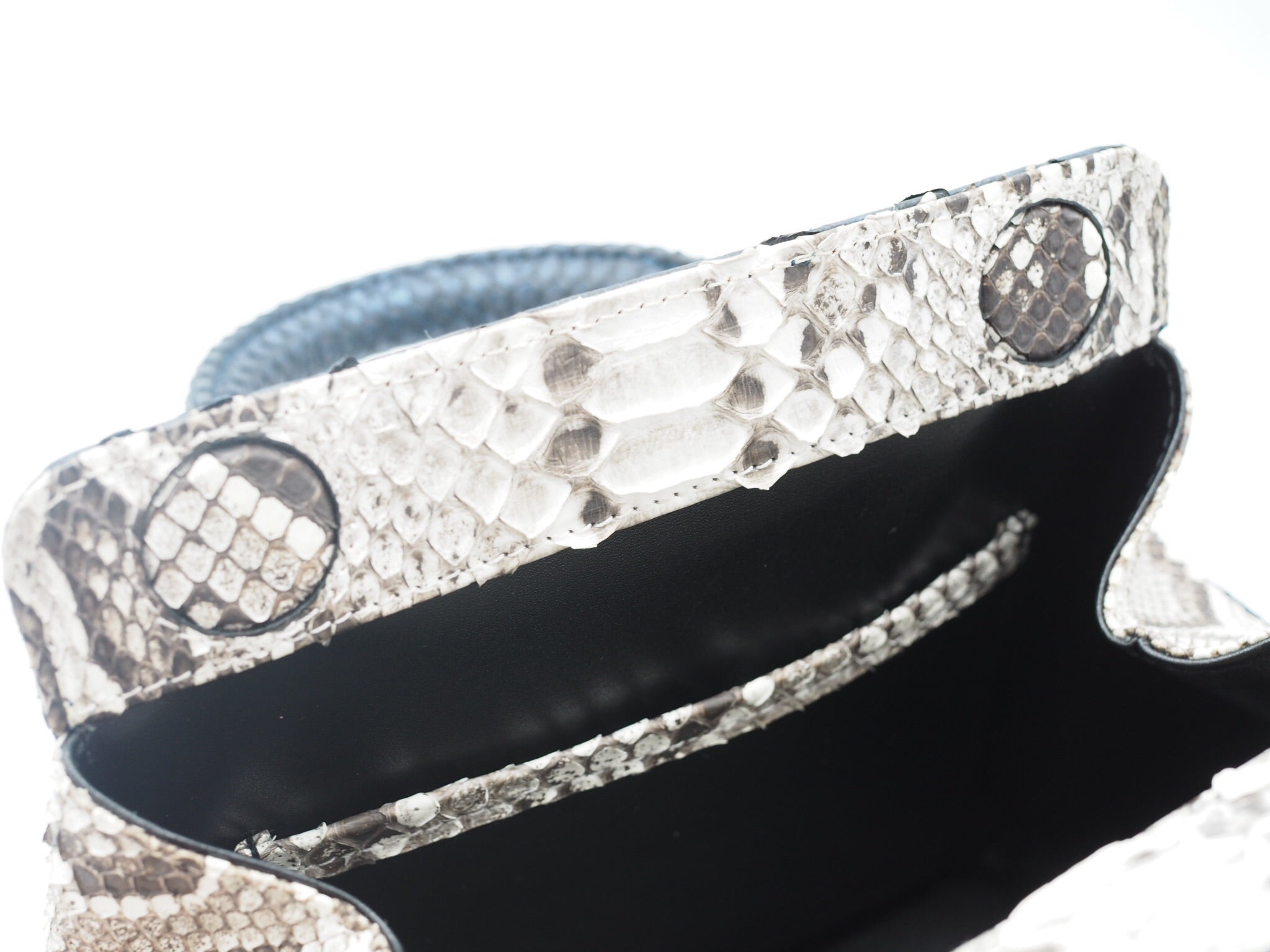 [Pre-Order] JASMINE PYTHON METALLIC BLUE TWO TONE