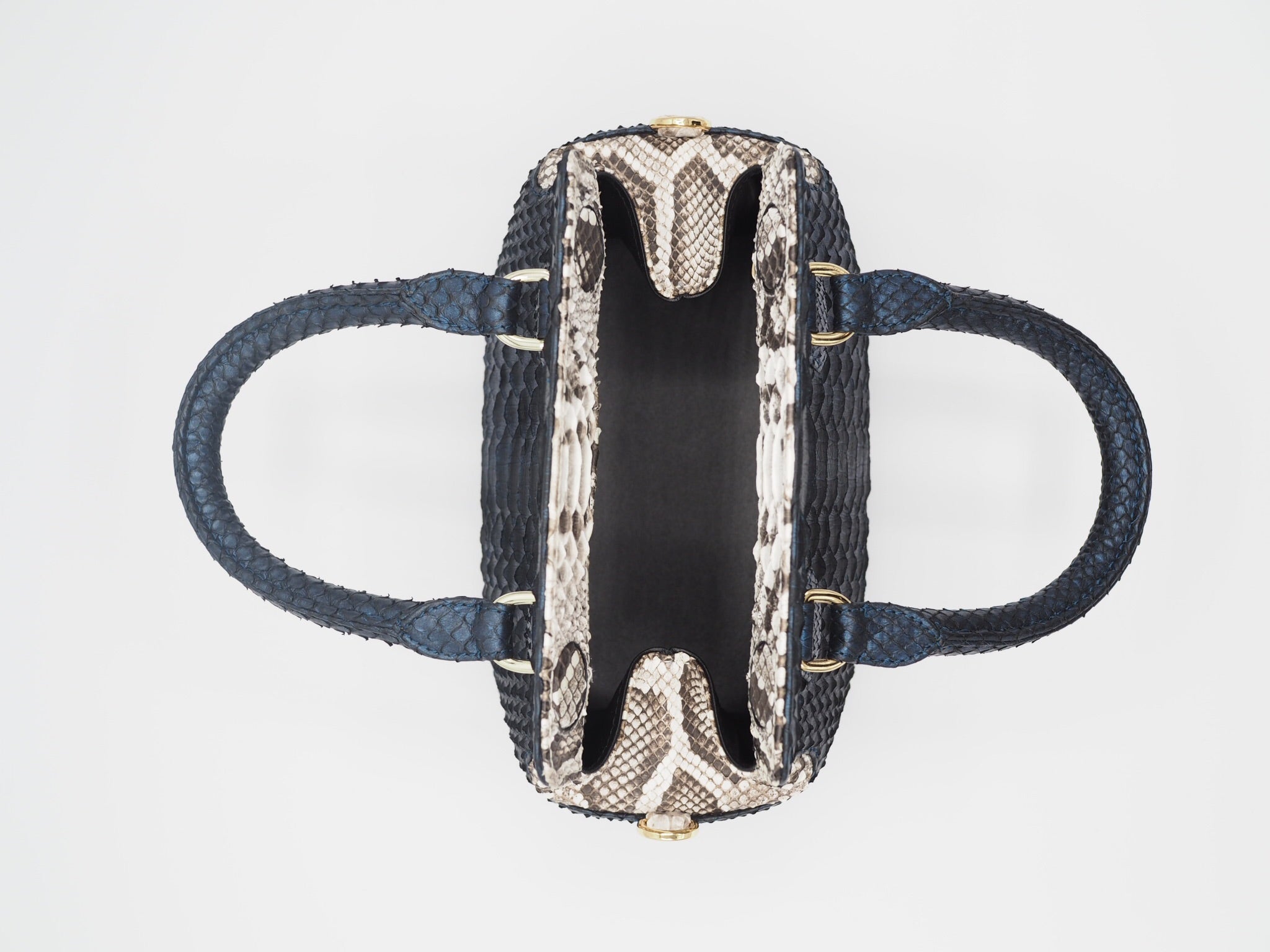 [Pre-Order] JASMINE PYTHON METALLIC BLUE TWO TONE