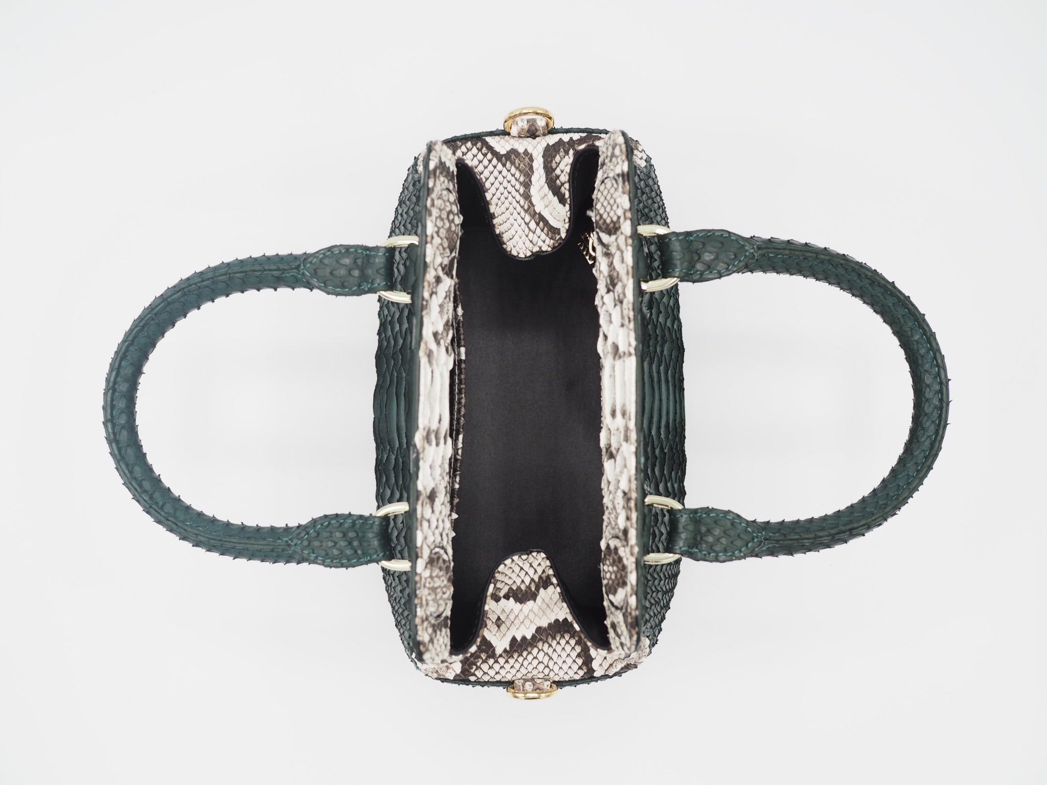 [Pre-Order] JASMINE PYTHON GREEN TWO TONE